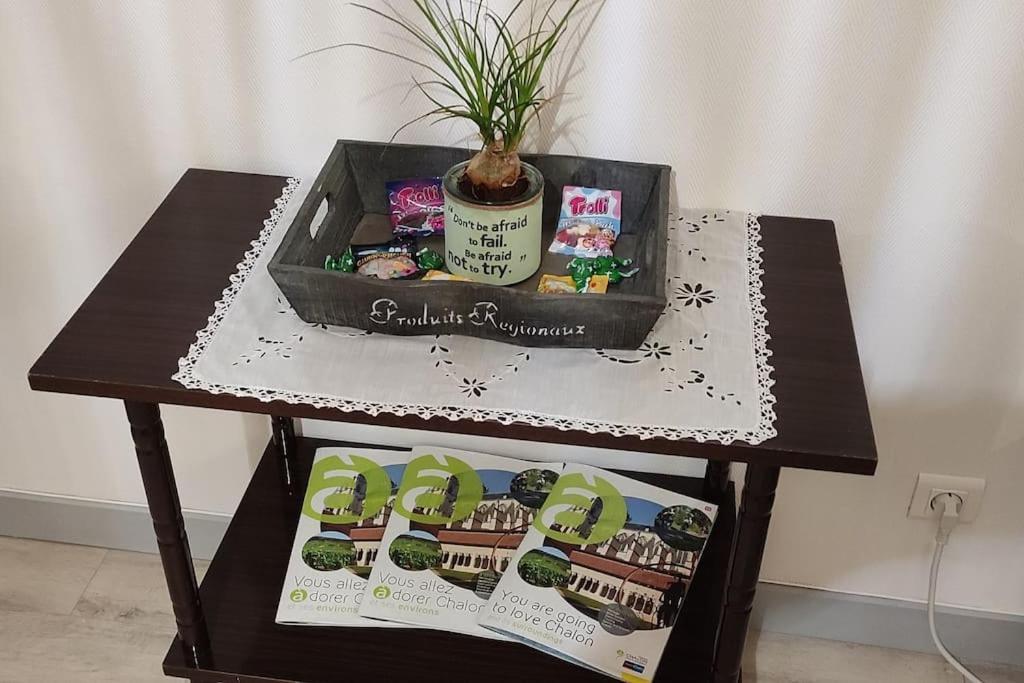 Appartement Cosy A 2 Pas Des Rues Pietonnes Chalon-sur-Saone Ngoại thất bức ảnh